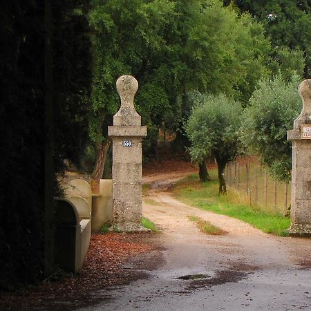 Vila Quinta Do Cerquito Ferreira do Zêzere Exteriér fotografie