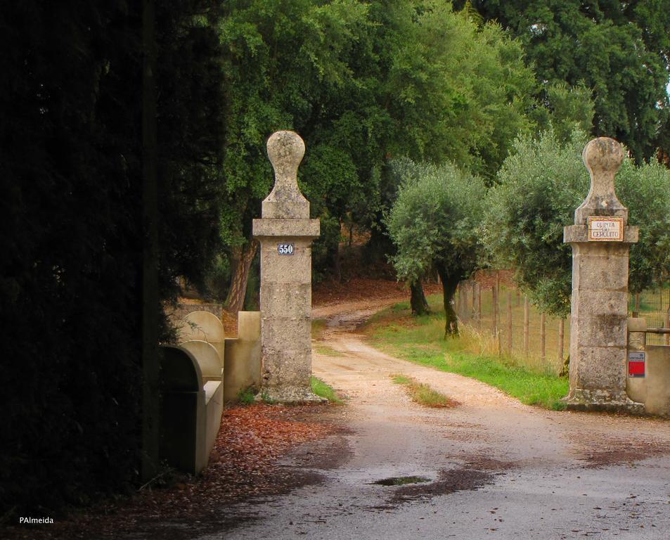 Vila Quinta Do Cerquito Ferreira do Zêzere Exteriér fotografie