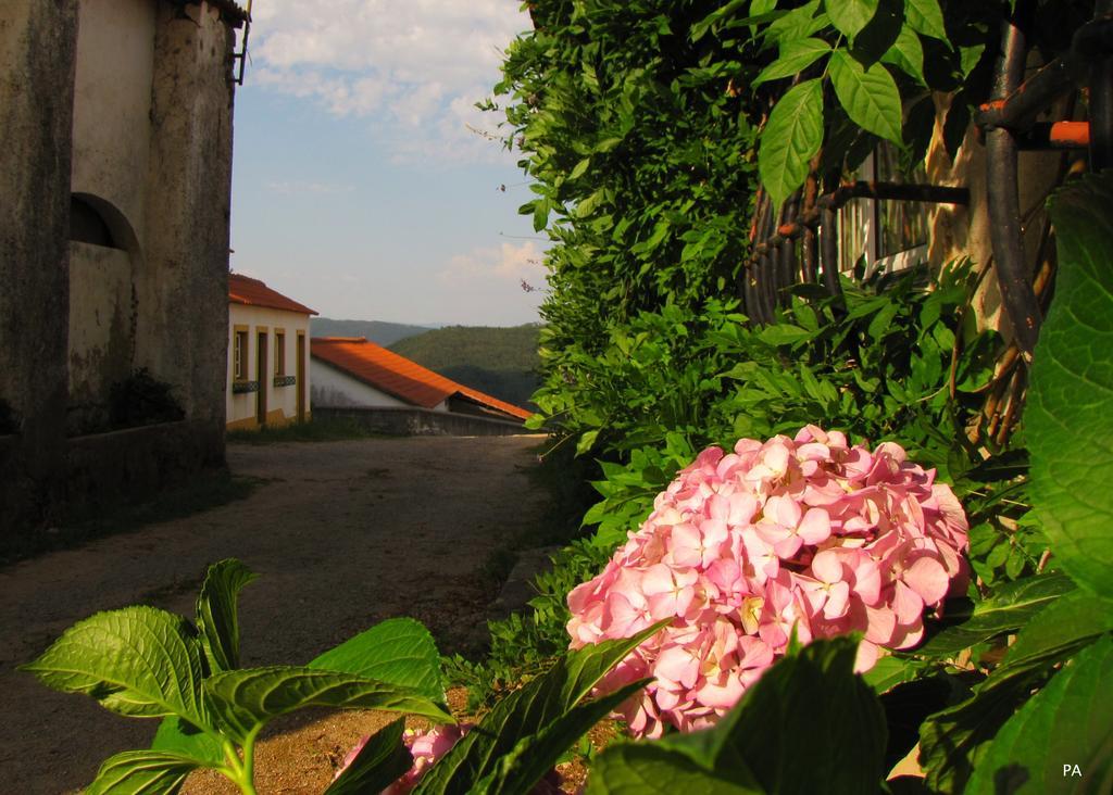 Vila Quinta Do Cerquito Ferreira do Zêzere Exteriér fotografie