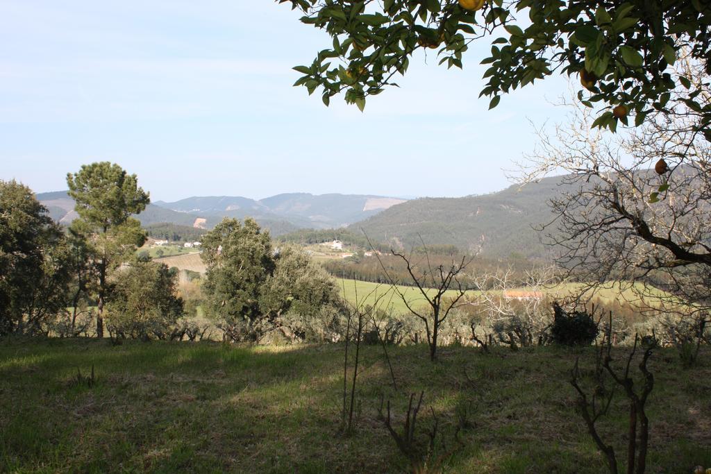 Vila Quinta Do Cerquito Ferreira do Zêzere Exteriér fotografie